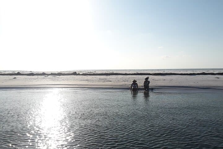 Private Clearwater Beach & Caladesi Island Boat Tour: Dolphin Cruises, Sandbars & Sunset photo 3