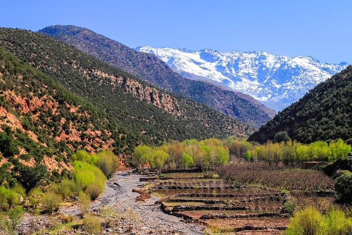High Atlas Day Trip from Marrakech: Imlil, Berber Villages & Camel Ride photo 2
