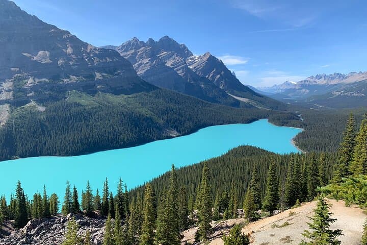 Banff to Lake Louise, Moraine Lake and the Icefields Parkway — Full-Day Scenic Tour photo 2
