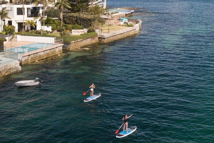 Manly North Harbour Stand Up Paddle Board Hire — 2-Hour SUP Rental photo 4
