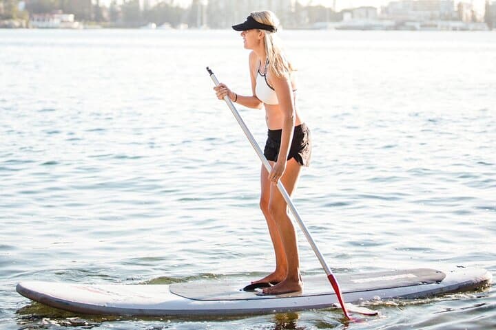 Manly North Harbour Stand Up Paddle Board Hire — 2-Hour SUP Rental
