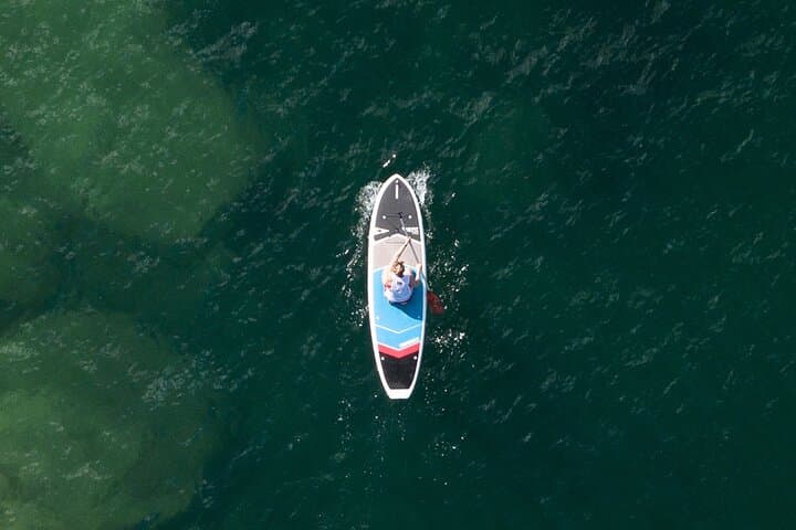 Manly North Harbour Stand Up Paddle Board Hire — 2-Hour SUP Rental photo 2