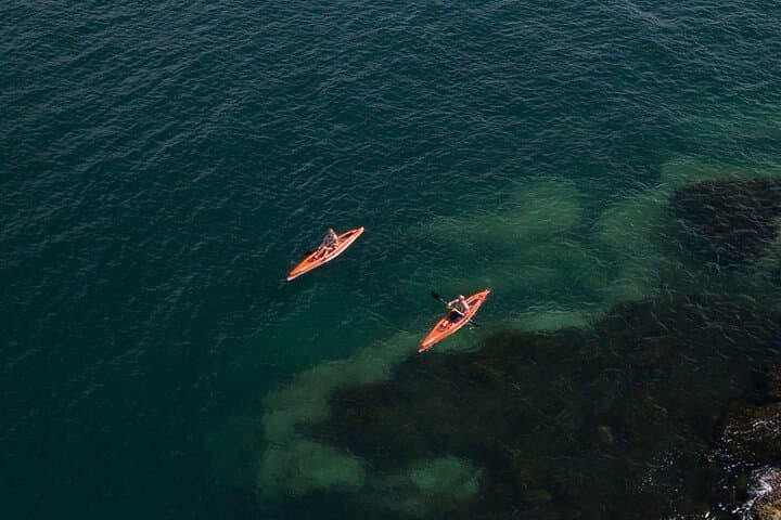 Explore North Harbour: 4-Hour Single Kayak Hire from Manly photo 2