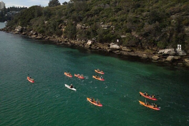 Paddle North Harbour: 4-Hour Double Kayak Hire from Manly photo 5