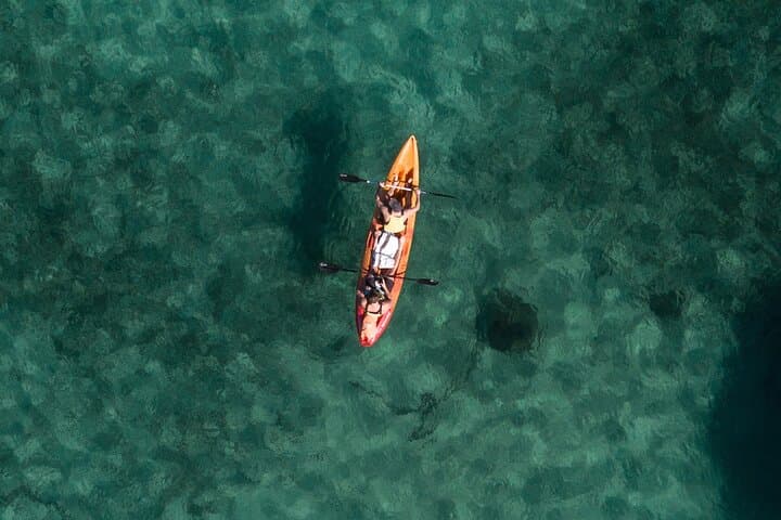 Paddle North Harbour: 4-Hour Double Kayak Hire from Manly