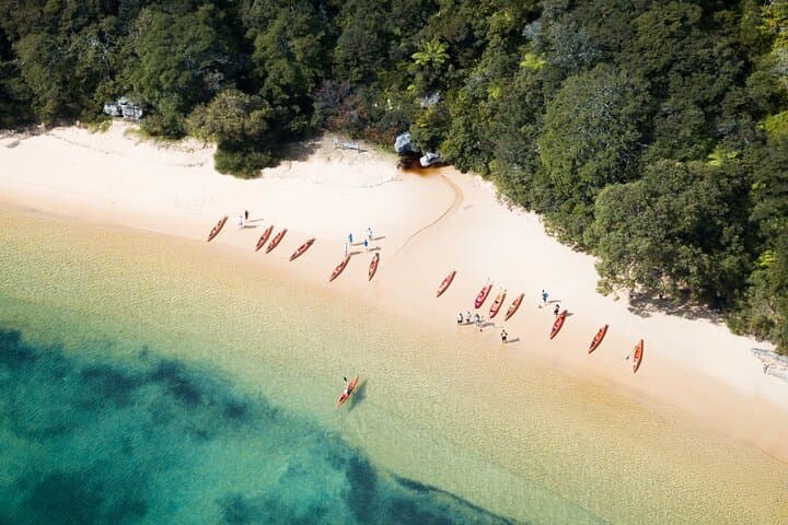Paddle North Harbour: 4-Hour Double Kayak Hire from Manly photo 3