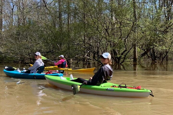 Kayak Honey Island Swamp: 2-Hour Backwater Tour from Slidell/New Orleans photo 2