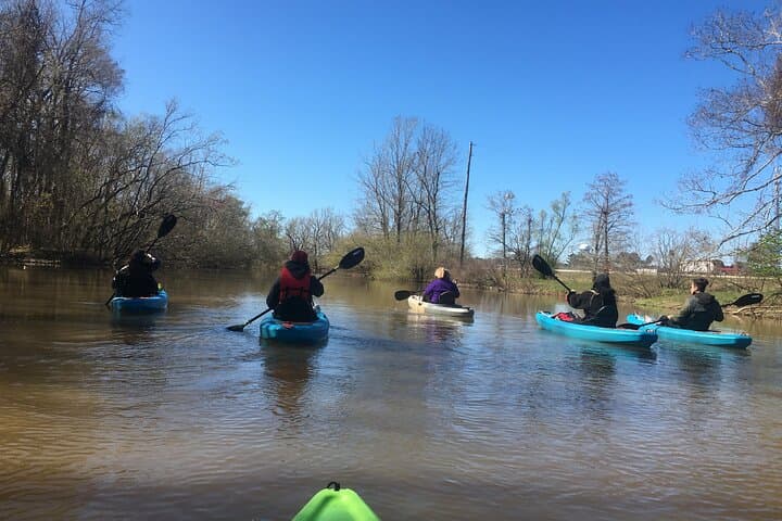 Kayak Honey Island Swamp: 2-Hour Backwater Tour from Slidell/New Orleans photo 3