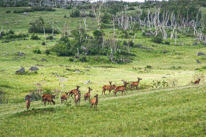 11-Day Mongolia Horseback Trek — Eight Lakes, Orkhon Valley & Khorgo photo 5