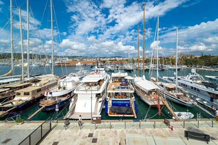 Palma Cathedral and Valldemossa Day Trip from Palma photo 6