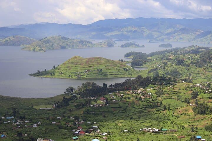 10-Day Uganda Wildlife Discovery: Gorilla & Chimpanzee Tracking in Bwindi and Kibale photo 5
