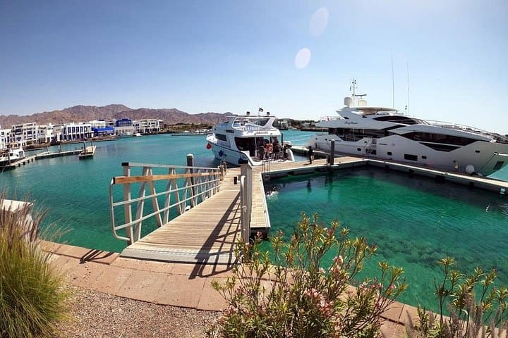 Half-Day Red Sea Boat Dive from Aqaba — Wrecks, Reefs & Pro Photos