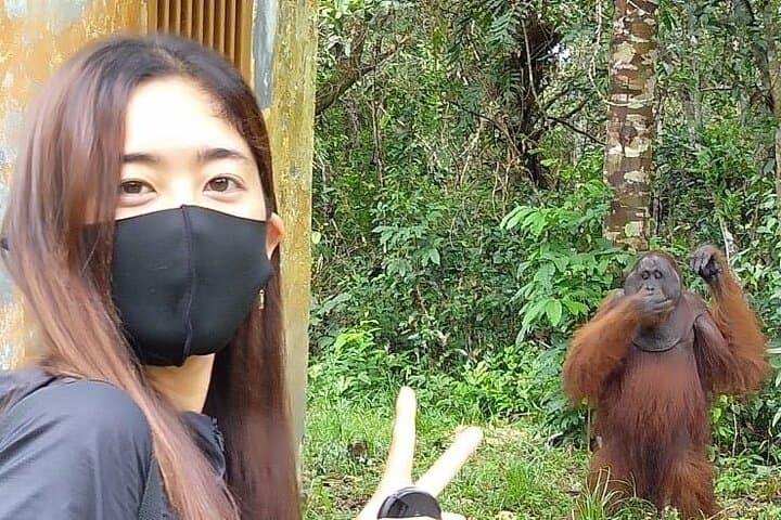 Orangutan Liveaboard: 3-Day Tanjung Puting Klotok Safari photo 2