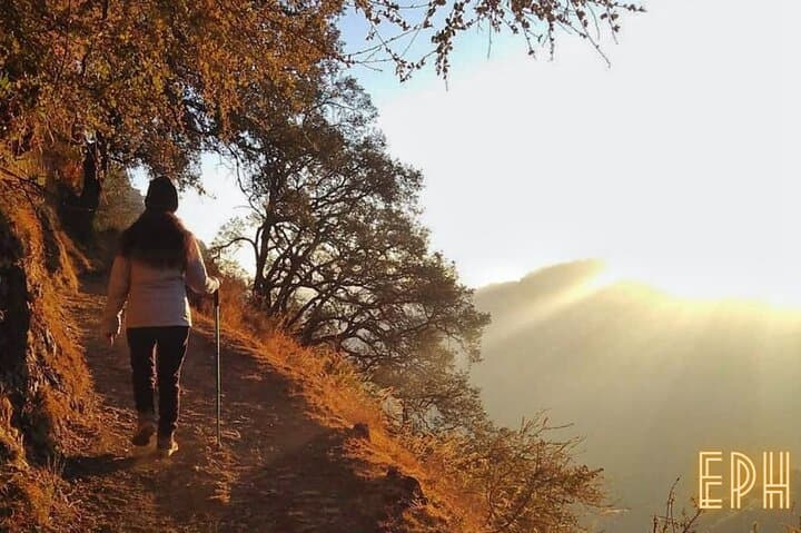 Benog Tibba Day Hike — Forest Trails and Himalayan Views from Mussoorie photo 2