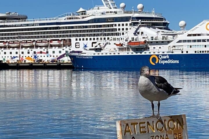 Ushuaia and El Calafate: Beagle Channel, Tierra del Fuego, Perito Moreno & Estancia Dinner photo 2