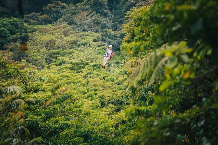 Selvatura Park Gold Canopy & Hanging Bridges — Monteverde Zipline Adventure