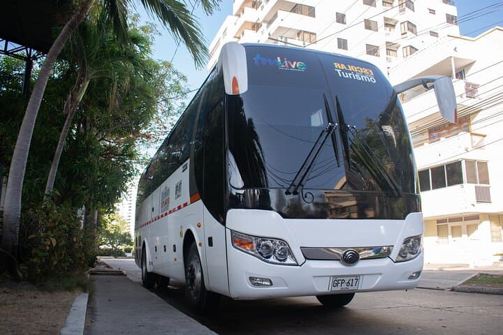Playa Blanca (Barú) Day Trip from Cartagena — White Sand, Snorkel & Local Lunch photo 2