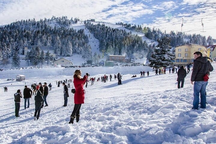 Bursa & Uludağ Day Trip: Cable Car, Green Mosque & Mountain Lunch from Istanbul photo 3