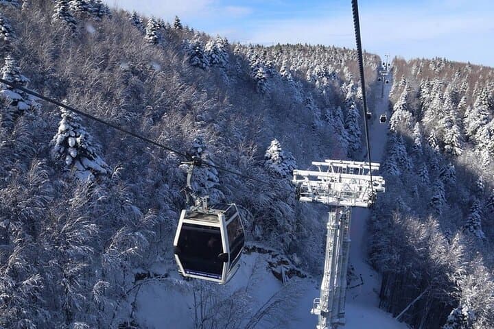 Bursa & Uludağ Day Trip: Cable Car, Green Mosque & Mountain Lunch from Istanbul photo 5