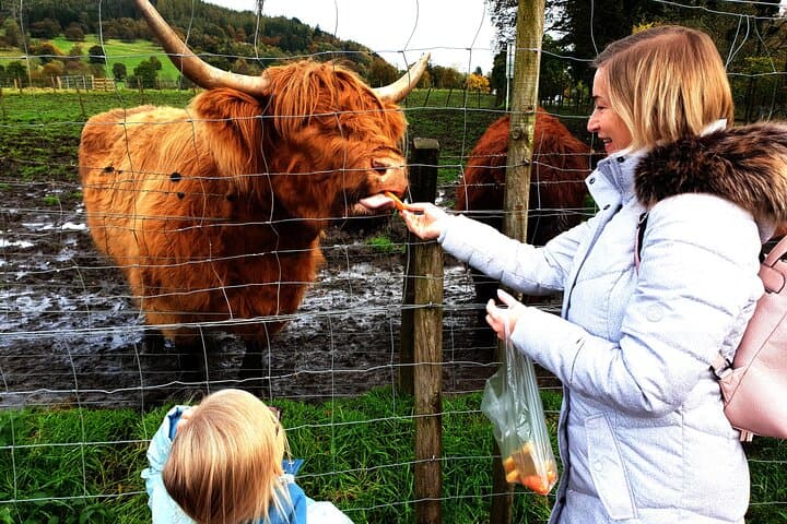 Highlands, Glencoe & Glenfinnan Viaduct Private Day Tour from Edinburgh photo 3