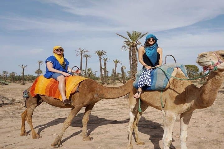 Sunset Camel Ride in Marrakech Palmeraie: Camel Trek and Berber Tea Experience photo 3
