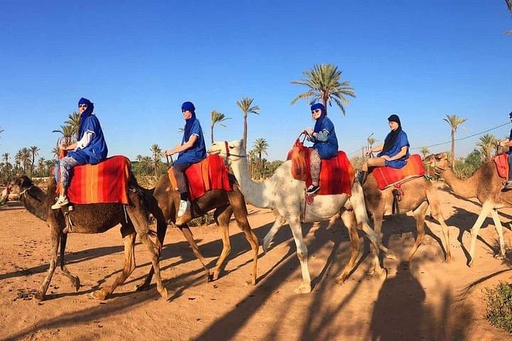 Sunset Camel Ride in Marrakech Palmeraie: Camel Trek and Berber Tea Experience photo 4