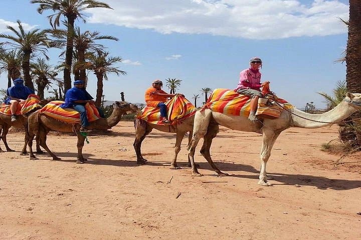 Sunset Camel Ride in Marrakech Palmeraie: Camel Trek and Berber Tea Experience photo 5