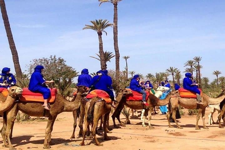 Sunset Camel Ride in Marrakech Palmeraie: Camel Trek and Berber Tea Experience photo 6