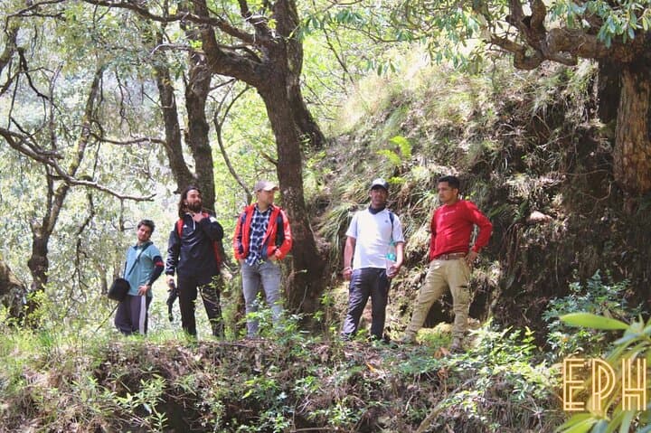 Benog Tibba Day Hike — Forest Trails and Himalayan Views from Mussoorie photo 5