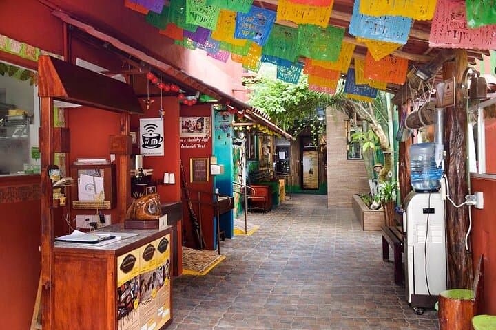 Private Cozumel Shore Excursion: San Gervasio, Tequila & Snorkel in 5 Hours photo 3