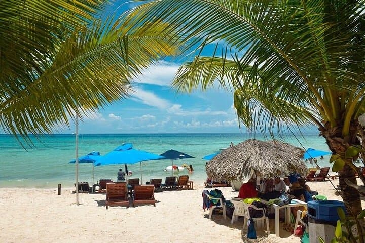 Private Cozumel Shore Excursion: San Gervasio, Tequila & Snorkel in 5 Hours photo 6