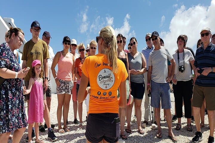 Bonaire Essentials Island Tour: Salt Pans, Slave Huts & Sorobon Beach photo 4