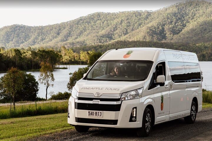 Mt Tamborine Shuttle from Gold Coast: Rainforest, Waterfalls & Wineries in a Day photo 3