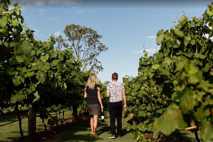 Mt Tamborine Shuttle from Gold Coast: Rainforest, Waterfalls & Wineries in a Day photo 4