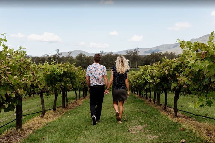 Mt Tamborine Shuttle from Gold Coast: Rainforest, Waterfalls & Wineries in a Day photo 5