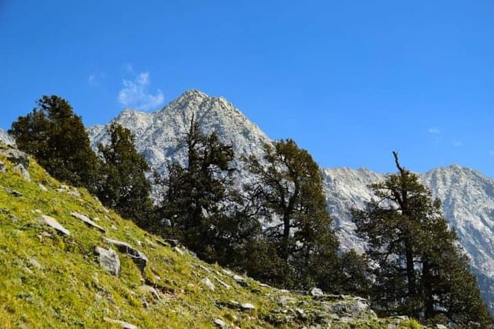 Indrahar Pass Trek: McLeodganj to 4,342m Dhauladhar Crossing photo 4