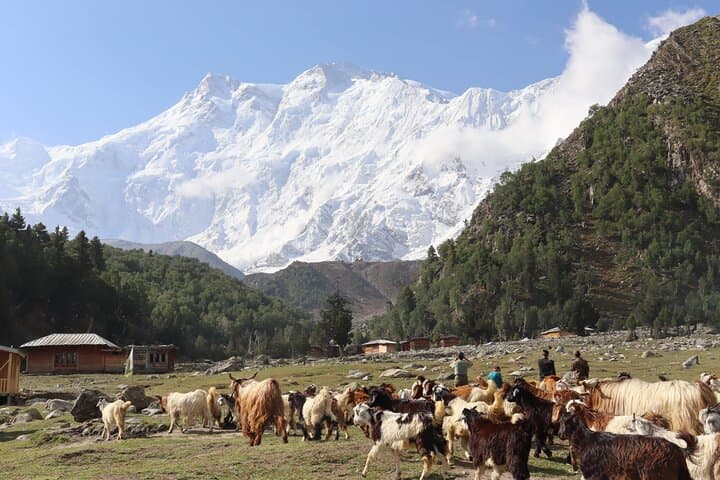 12-Day Hiking Through Pakistan's Highest Ranges — Rakaposhi to Nanga Parbat photo 5