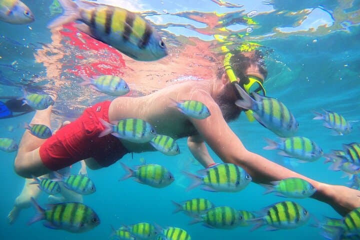 Phi Phi Islands Snorkeling from Phuket: Full-Day Speedboat Tour to Maya Bay, Bamboo & Pileh Lagoon photo 4