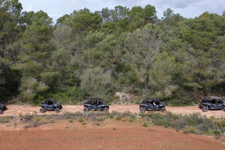 Mallorca Off‑On Road Buggy Tour to Puig de Randa and Llucmajor photo 5