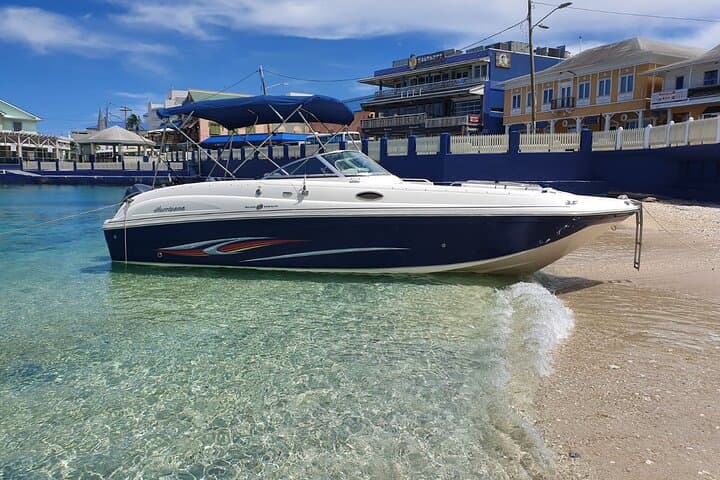 Half-Day Private Stingray City Charter Grand Cayman — Snorkel & Starfish Beach