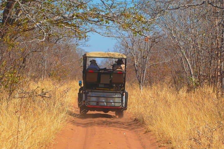 Chobe Camping Safari from Victoria Falls — 2-Day Camping & Game Drives photo 6