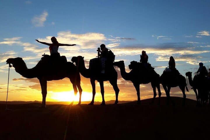 Sunset Camel Ride and Moroccan Dinner in Agafay Desert (From Marrakech)