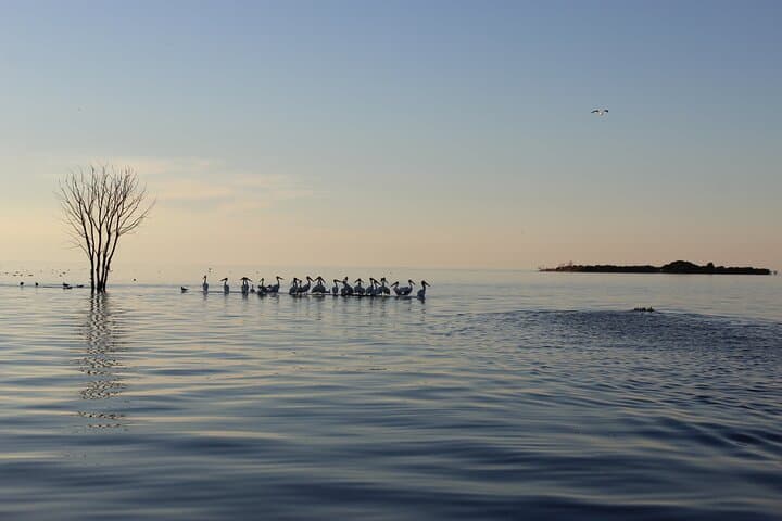 Door County West Islands & Eagle Bluff Lighthouse Cruise — Fish Creek Scenic Boat Tour photo 2