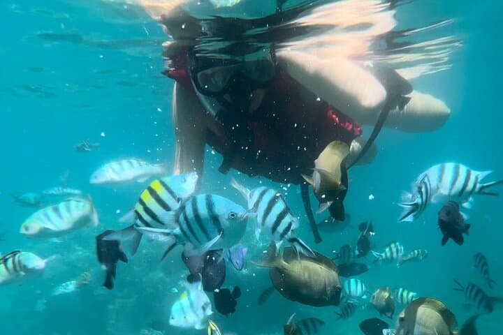 Blue Lagoon & Tanjung Jepun Snorkeling from Padangbai — All-Inclusive Trip with Lunch & Transfers photo 3