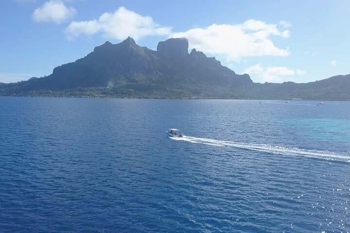 Bora Bora Morning 2-Tank Dives: Manta Rays, Shark Passes & Coral Gardens photo 5
