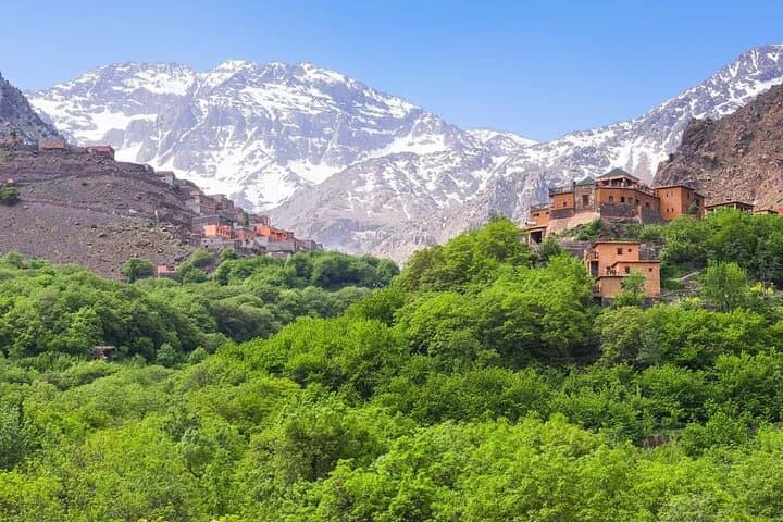 Agafay Desert & Atlas Mountains Day Trip from Marrakech photo 2
