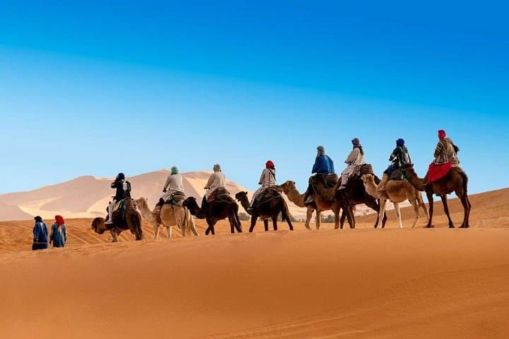 12-Day Morocco Discovery Private Tour — Casablanca to the Sahara & Imperial Cities photo 1