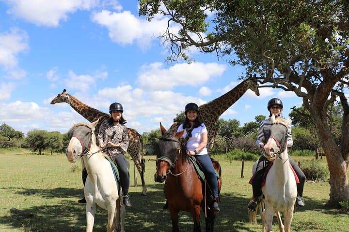 Hartbeespoort Horseback Safari: 2‑Hour Wildlife Ride in Silkaatsnek Nature Reserve
