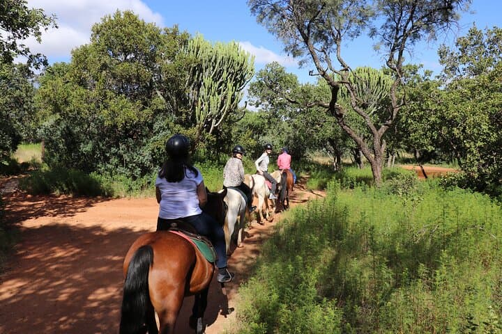 Hartbeespoort Horseback Safari: 2‑Hour Wildlife Ride in Silkaatsnek Nature Reserve photo 2