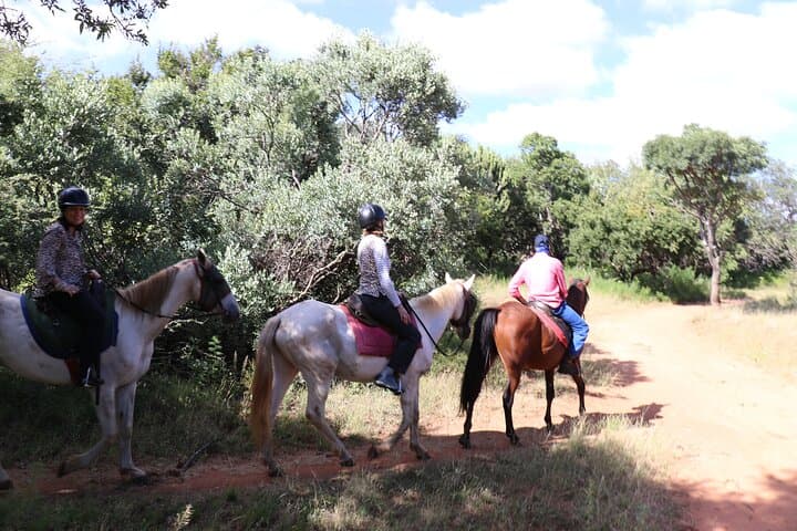 Hartbeespoort Horseback Safari: 2‑Hour Wildlife Ride in Silkaatsnek Nature Reserve photo 3